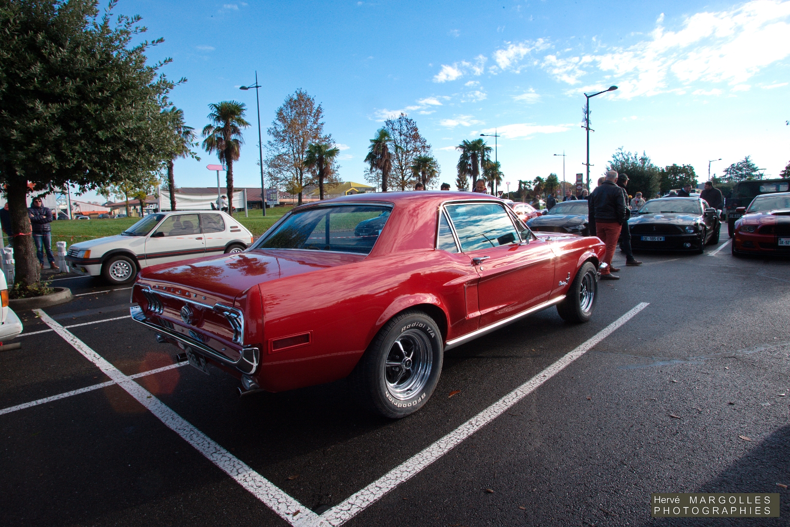 Ford Mustang_02.jpg